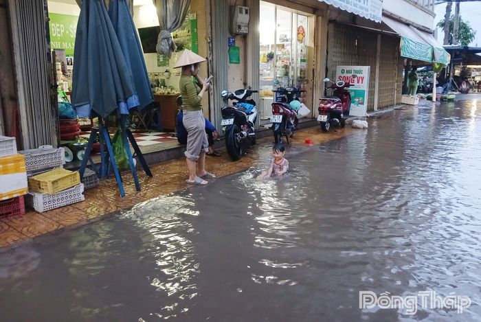 Nhiều tuyến đường trên địa bàn phường Sa Đéc bị ngập do triều cường.