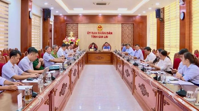  Quang cảnh hội nghị tại điểm cầu tỉnh Gia Lai. Ảnh: Nhật Trường 
