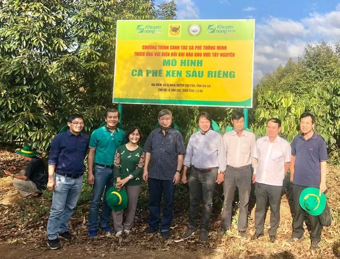  Các chuyên gia, nhà khoa học tham quan, đánh giá mô hình trồng xen cà phê với sầu riêng tại xã Ia Phí. Ảnh: L.N 