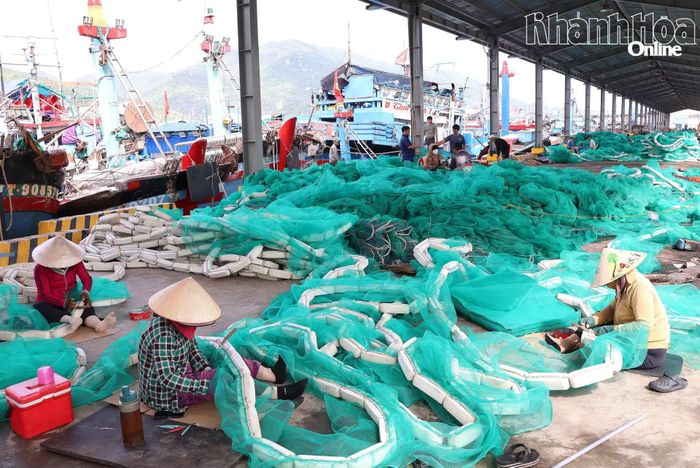 Nhiều ngư dân tập trung tại cảng để vá lưới.