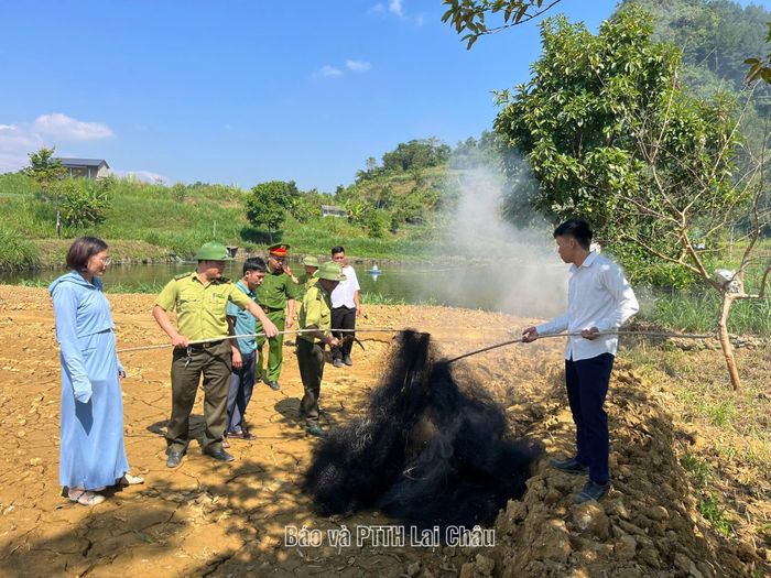 Lực lượng chức năng tiến hành tiêu hủy 16 lưới tàng hình.