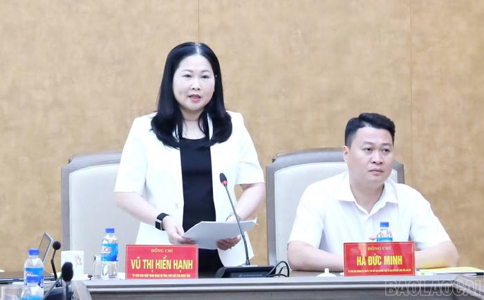 Đồng chí Vũ Thị Hiền Hạnh - Phó Chủ tịch UBND tỉnh Lào Cai phát biểu tại cuộc họp.