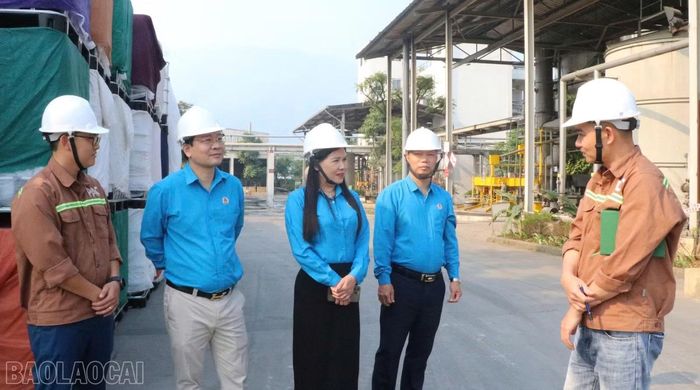  Lãnh đạo Liên đoàn Lao động tỉnh thăm, nắm bắt tình hình lao động, sản xuất tại một số doanh nghiệp. 