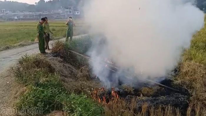Lực lượng liên ngành xã Xuân Quang tháo dỡ lưới bẫy chim tại thôn Làng Bạc chiều 12/10.