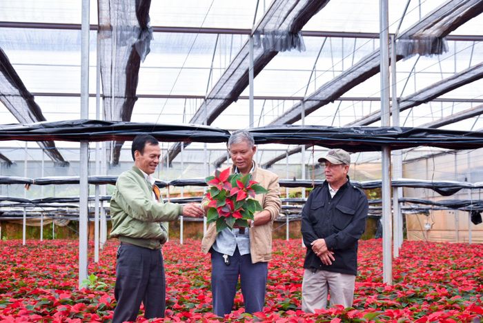 Nhiều doanh nghiệp do CCB làm chủ vững mạnh trên mặt trận kinh tế