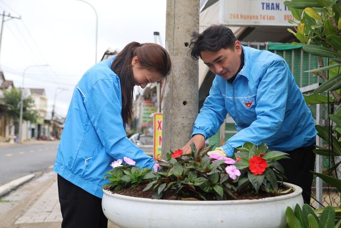 Tuổi trẻ phường Lâm Viên - Đà Lạt tham gia trồng, chăm sóc tuyến đường hoa trên địa bàn