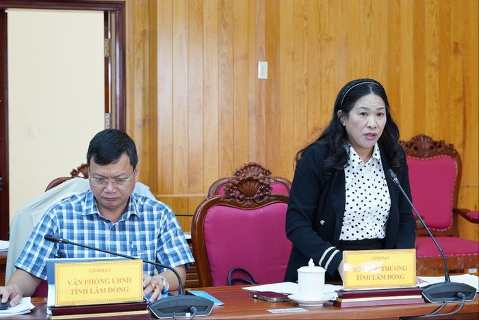 Phó Giám đốc Sở Công thương Cao Thị Thanh báo cáo về các tiêu chí lựa chọn chủ đầu tư xây dựng các cụm công nghiệp