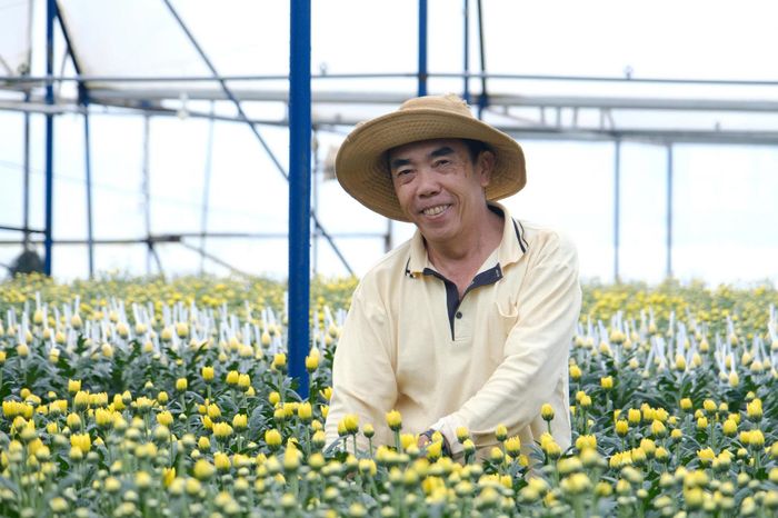 Ông Bùi Hữu Đức, người dân tổ dân phố Thái Phước, phường Lâm Viên - Đà Lạt có hơn 26 năm gắn bó với nghề trồng hoa