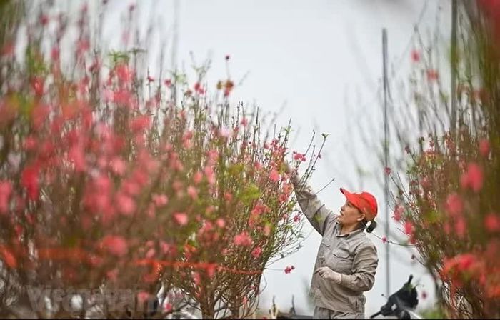 Bộ Nội vụ yêu cầu việc xây dựng phương án nghỉ Tết phải bảo đảm tổng số ngày nghỉ không thấp hơn quy định của Bộ luật Lao động. (Ảnh: PV/Vietnam+)