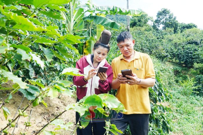 Nông dân phường Chiềng Cơi thực hành xác định vị trí, khoanh vẽ diện tích, cập nhật dữ liệu vùng trồng cà phê.
