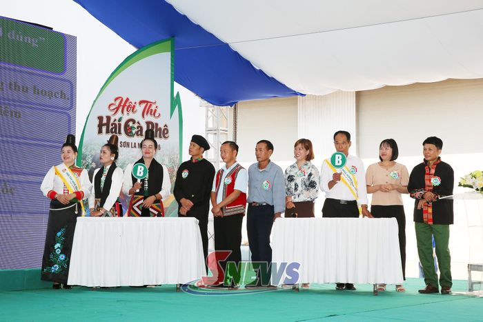 Các đội tham gia trả lời câu hỏi của Ban tổ chức.