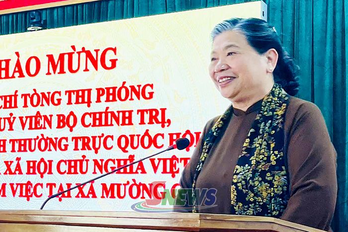Đồng chí Tòng Thị Phóng phát biểu tại buổi làm việc.