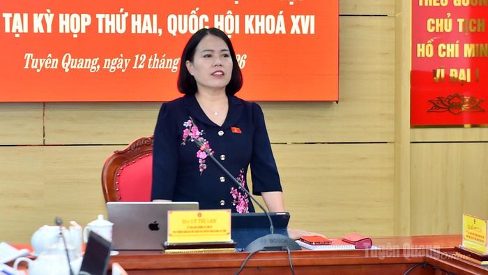 Đồng chí Lý Thị Lan, Phó Trưởng đoàn chuyên trách Đoàn ĐBQH tỉnh phát biểu kết luận hội nghị.