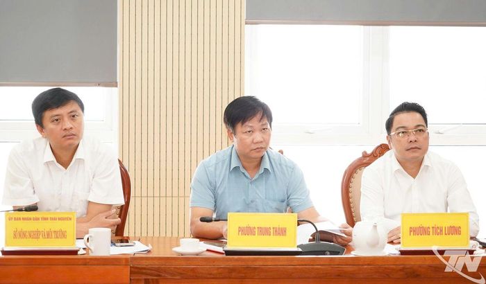 Đại biểu dự Cuộc họp.