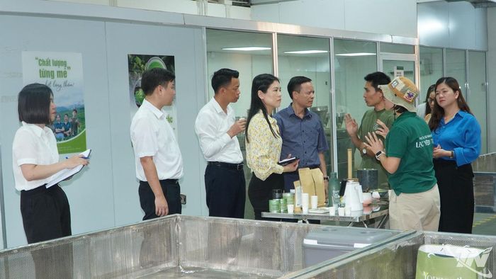 Tổ công tác khảo sát tại HTX matcha Lạc Yên Trà