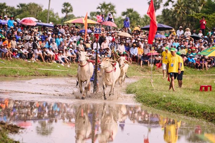  Màn bứt phá của các đôi bò đua trên đường đua xã An Cư. (Ảnh: BFC) 
