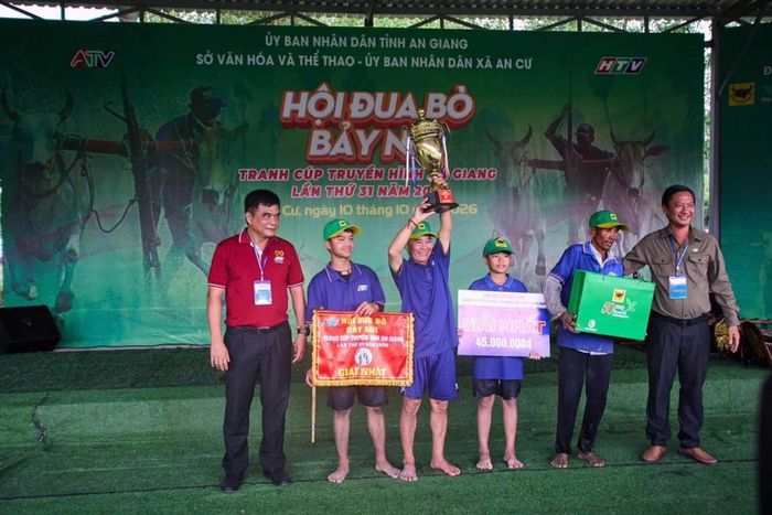  Khoảnh khắc đăng quang vinh quang của ông Nguyễn Thành Tài (xã Núi Cấm) – chủ nhân đôi bò xuất sắc đoạt cúp vô địch năm 2026. (Ảnh: BFC) 