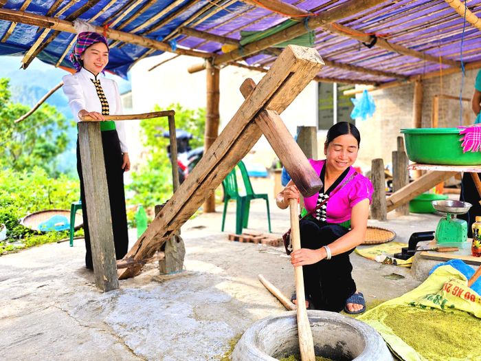 Thóc sau khi rang đạt yêu cầu, công đoạn giã cốm bắt đầu, những chiếc chày gỗ nhịp nhàng nâng lên rồi hạ xuống trong cối, từng nhịp giã đòi hỏi sự phối hợp đều đặn và chính xác. Người giã phải điều chỉnh lực chày vừa đủ, không quá mạnh khiến hạt cốm nát, cũng không quá nhẹ làm lớp vỏ trấu khó bong. 