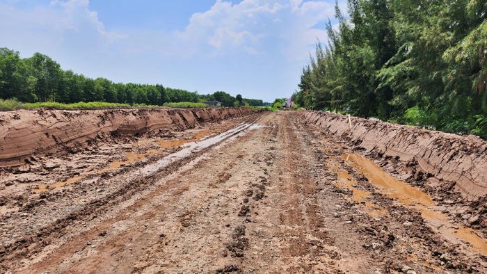 Đơn vị thi công đang tập trung đào khuôn đường, chuẩn bị bơm cát san lấp mặt bằng.