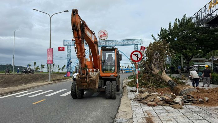 Nhà thầu đang tiến hành di dời cây xanh trong phạm vi GPMB triển khai dự án. (Ảnh: Lê Danh).