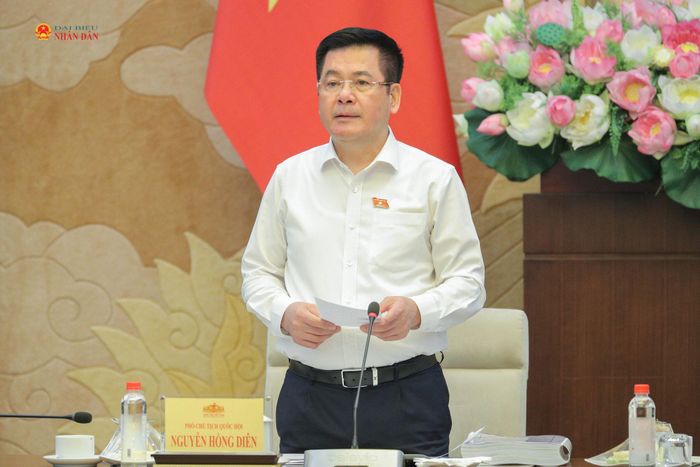 Phó Chủ tịch Quốc hội Nguyễn Hồng Diên phát biểu tại cuộc làm việc