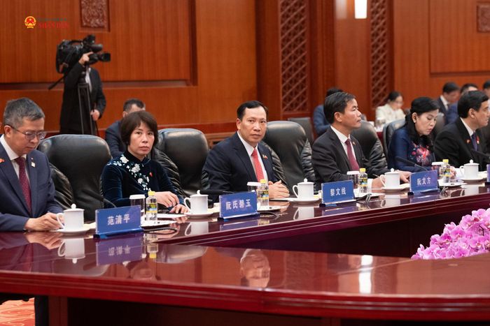 Đại biểu Việt Nam tham dự cuộc hội đàm