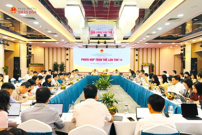 Quang cảnh phiên họp