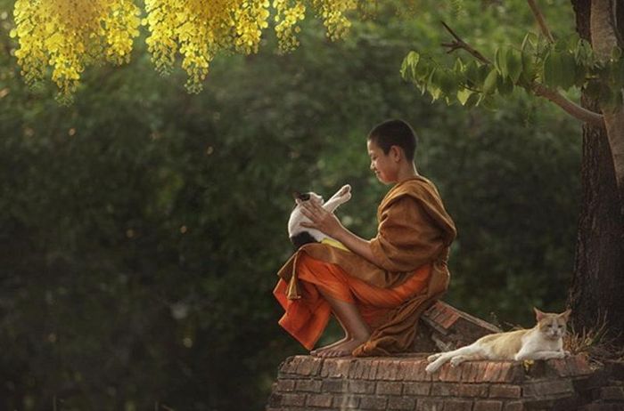 Hình ảnh chỉ mang tính chất minh hoạ (sưu tầm).