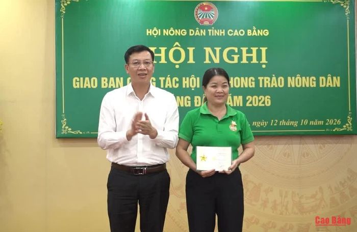 Chủ tịch Hội Nông dân tỉnh Nguyễn Phương Huy trao Kỷ niệm chương của Trung ương Hội Nông dân Việt Nam cho các cá nhân.