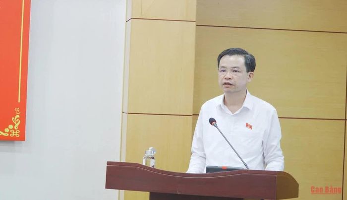 Phó Bí thư Thường trực Tỉnh ủy, Trưởng Đoàn đại biểu Quốc hội tỉnh Bế Thanh Tịnh phát biểu kết luận hội nghị.