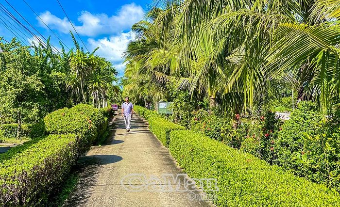 Những tuyến đường sáng, xanh, sạch, đẹp làm đổi thay diện mạo nông thôn Biển Bạch.