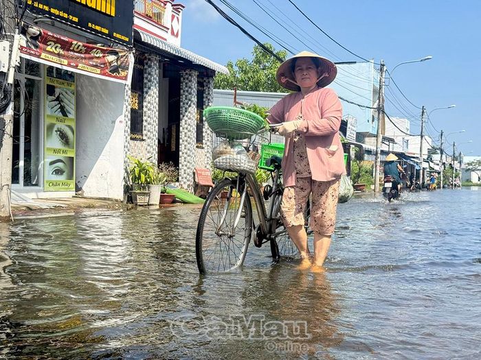 Tỉnh Cà Mau chịu ảnh hưởng của dải hội tụ nhiệt đới kết hợp với vùng áp thấp gây ra đợt mưa lớn nhất từ đầu mùa đến nay.