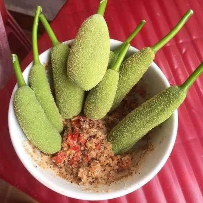 Mít non chấm muối ớt là món ăn vặt quen thuộc của nhiều thế hệ trẻ em nông thôn.