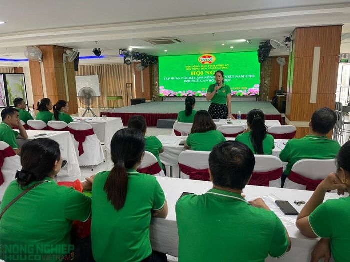  Hội Nông dân xã Đô Lương tổ chức hội nghị tập huấn chuyển đổi số trong Nông dân 