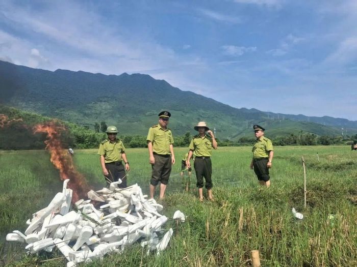Lực lượng Kiểm lâm Tp. Huế tiêu huỷ phương tiện, dụng cụ săn bắt chim trời