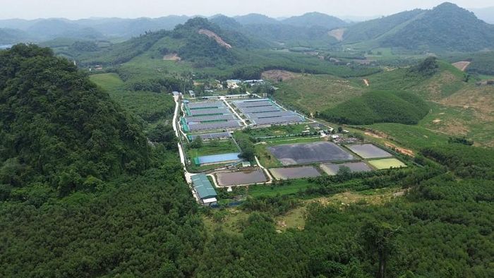 Công ty CP phát triển nông nghiệp sạch Thanh Xuân có hàm lượng nước thải rò rỉ ra môi trường vượt quy chuẩn cao đến hơn 7 lần. 