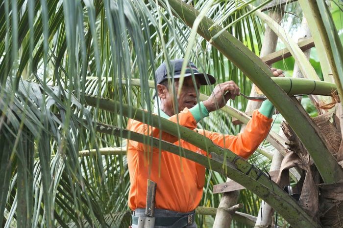 Sokfarm hiện có 95 công nhân viên, liên kết với 150 hộ thu mật, tạo sinh kế cho ít nhất khoảng 300 người tại địa phương.