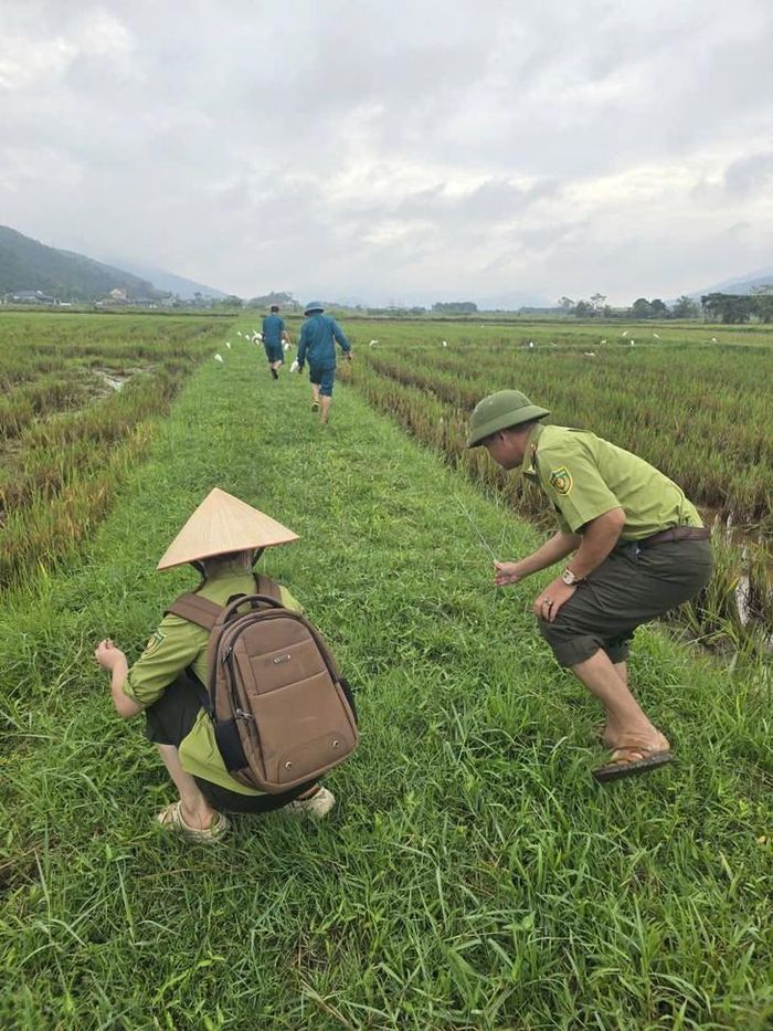 Lực lượng chức năng xã Tân Châu phối hợp kiểm tra, thu gom và tiêu hủy các dụng cụ phục vụ săn bắt chim hoang dã, góp phần bảo vệ đàn cò trắng và các loài chim tự nhiên trên địa bàn. Ảnh: T.C.