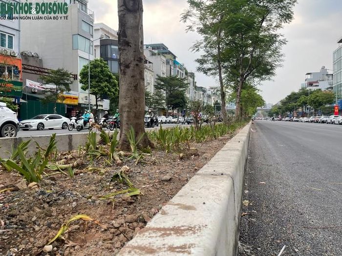 Hiệu quả của phương án giao thông mới này sẽ tiếp tục được đánh giá thông qua theo dõi lưu lượng phương tiện và tình hình giao thông thực tế. Ảnh: Phúc Đức