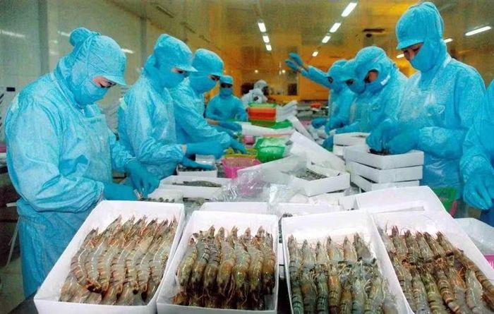 Doanh nghiệp xuất khẩu thủy sản cần lưu ý quy định mới về chất phụ gia thực phẩm từ thị trường Hoa Kỳ