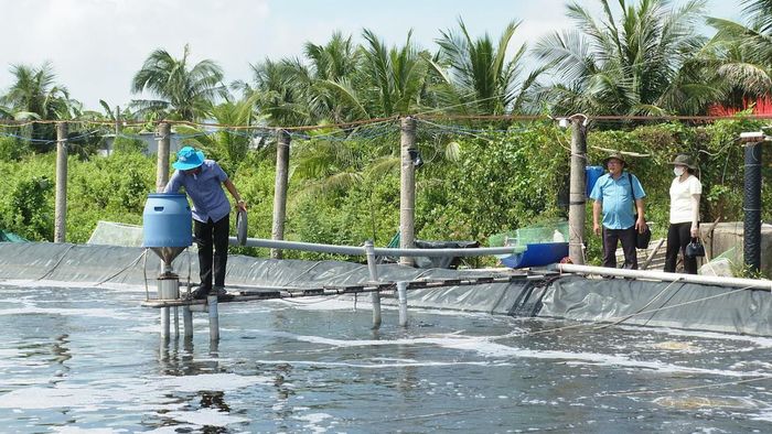 Hệ thống ao nuôi tôm được ông Hiệp đầu tư bài bản, áp dụng nhiều giải pháp kỹ thuật để kiểm soát môi trường nước. Ảnh: Nguyên Du