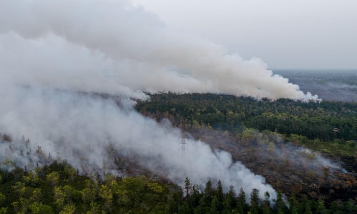 Cháy rừng Indonesia khiến khói mù lan sang các nước láng giềng. Ảnh: Reuters.