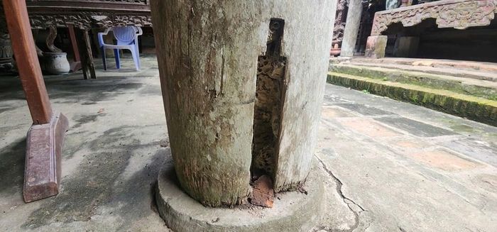Cột lim bị mối mọt
