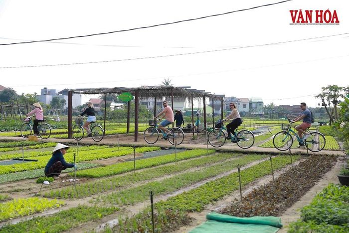Đà Nẵng tiếp tục khẳng định định hướng phát triển du lịch theo hướng xanh, có trách nhiệm và bền vững