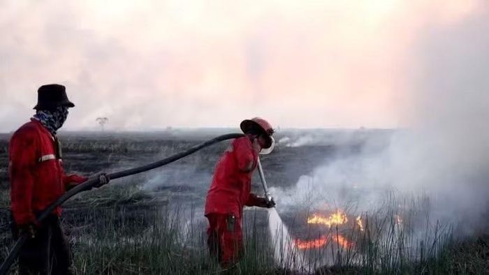 Lính cứu hỏa nỗ lực dập lửa cháy rừng tại Indonesia. (Ảnh: THX/TTXVN)