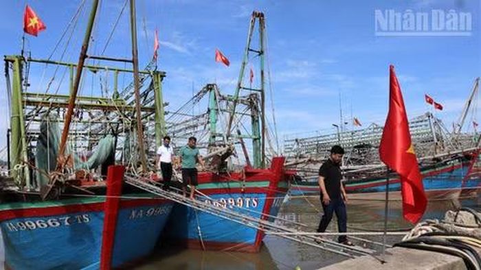Tỉnh Nghệ An hiện có 3.544 tàu cá, với hơn 11.000 lao động trực tiếp khai thác thủy sản. (Ảnh: TRẦN TRUNG HIẾU)
