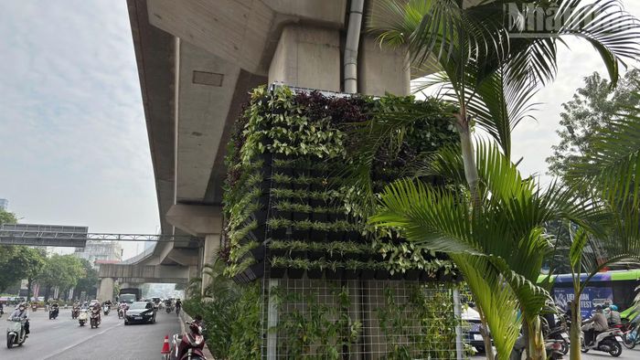 Đối diện Trung tâm thương mại Royal City, một hệ giàn thép được lắp đặt làm giá đỡ cho các chậu cây xanh.