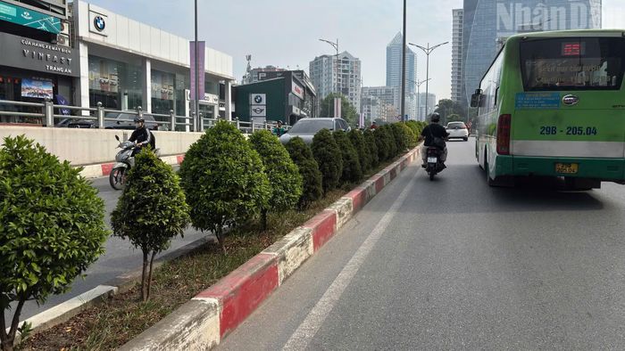 Việc đưa cây xanh vào các công trình giao thông đang mở rộng cách thức tổ chức không gian xanh của Thủ đô.
