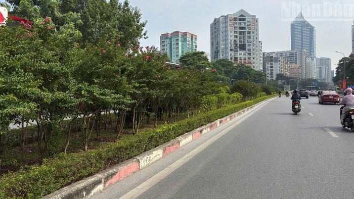 Trong khi đó, tại hầm chui Lê Văn Lương-Tố Hữu, các chậu cây được bố trí thành từng cụm dọc mép trên thành hầm, phía dưới lan can, trên chiều dài khoảng 300m.