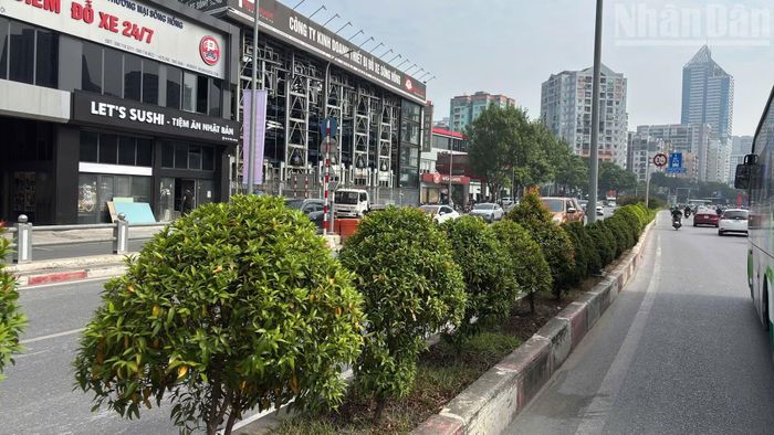 Nếu được triển khai hiệu quả, duy trì tốt và từng bước nhân rộng trên cơ sở đánh giá thực tế, những khoảng bê-tông vốn chỉ phục vụ chức năng giao thông có thể trở thành những điểm nhấn cảnh quan, góp phần cải thiện chất lượng môi trường và xây dựng diện mạo đô thị xanh, văn minh hơn.